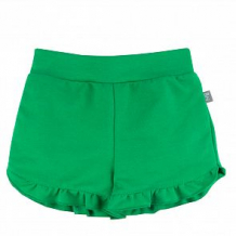 Купить шорты bossa nova, цвет: зеленый ( id 12779170 )