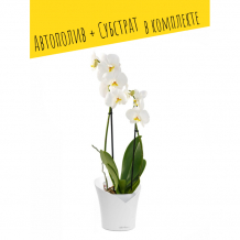 Купить lechuza настольное кашпо с автополивом orchidea с субстратом 19.5х18 см 1 л 