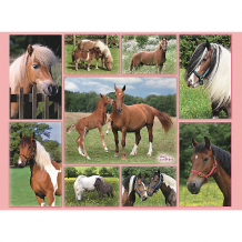 Купить пазл «галерея лошадей» xxl 300 шт ( id 7376920 )