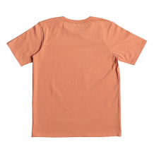 Купить футболка детская quiksilver ssfinfanaticyth cadmium orange оранжевый ( id 1194885 )