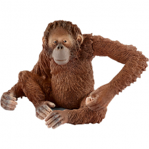 Купить фигурка schleich "орангутан", самка ( id 5178095 )