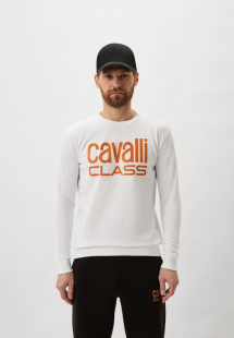 Купить свитшот cavalli class rtladd866101ins