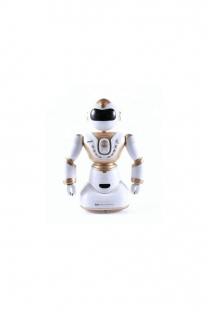 Купить радиоуправляемый робот noname ( размер: os ), 12737302