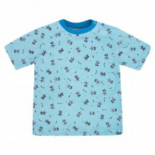 Купить футболка котмаркот озорная зебра, цвет: голубой ( id 10597361 )
