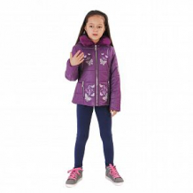 Купить куртка милашка сьюзи, цвет: фиолетовый ( id 11446984 )