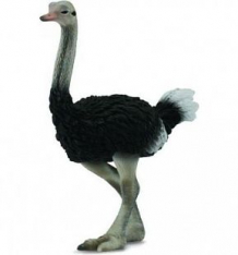 Купить фигурка collecta страус 9 см ( id 419086 )