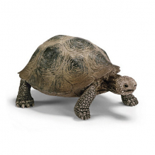 Купить schleich гигантская черепаха. серия "дикие животные" ( id 1821346 )