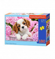Купить пазл castorland щенок в цветах ( id 5203309 )