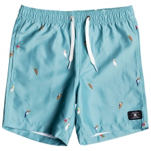 Купить шорты пляжные детские dc all season voll maui blue голубой ( id 1201655 )