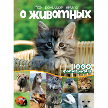 Купить махаон моя большая книга о животных. 1000 фотографий 978-5-389-07487-3