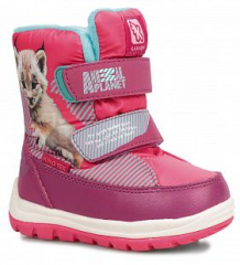 Купить ботинки какаду animal planet, цвет: фуксия ( id 10885622 )