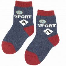 Купить носки hobby line, цвет: синий/красный ( id 11610754 )