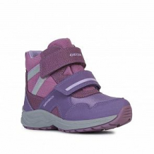 Купить сапоги geox, цвет: фиолетовый ( id 11061470 )