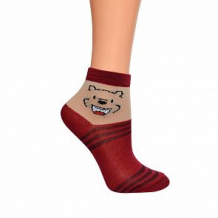 Купить носки delici, цвет: бордовый ( id 12536350 )