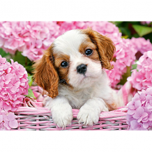 Купить пазл castorland щенок в цветах, 180 деталей ( id 7427354 )