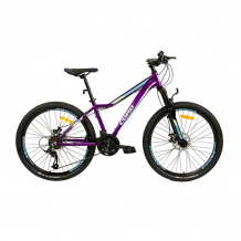 Купить велосипед двухколесный cord starlight 26 с дисковыми тормозами 2023 crd-dlx2601-13 crd-dlx2601-13