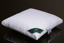 Купить anna flaum подушка средняя flaum fitness kollektion 60х60 см gf-53602