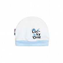 Купить шапка lucky child, цвет: голубой ( id 12412048 )