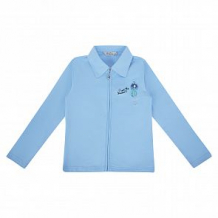 Купить блузка deloras, цвет: голубой ( id 10692434 )