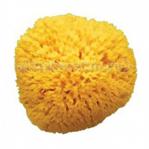 Купить мочалка ok baby honeycomb 12 см 