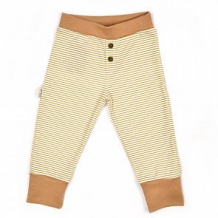 Купить брюки ярко мишутка, цвет: бежевый ( id 12574036 )