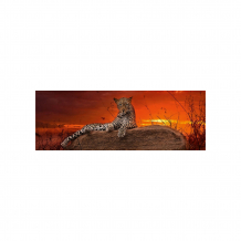 Купить пазлы heye "леопард на рассвете", 2000 деталей , панорама ( id 8698814 )