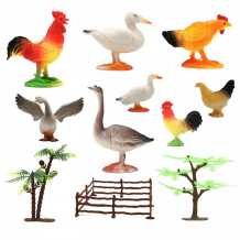 Купить zooграфия игровой набор домашние птицы с картой обитания 8 шт. 200662202