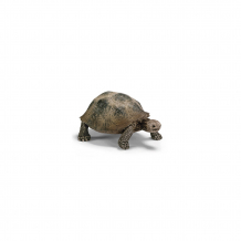 Купить schleich гигантская черепаха. серия "дикие животные" ( id 1821346 )