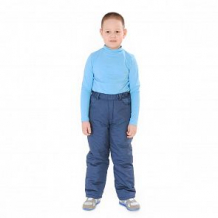Купить брюки милашка сьюзи, цвет: синий ( id 11446162 )