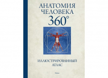 Купить махаон иллюстрированный атлас анатомия человека 360° 978-5-389-12283-3