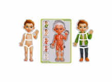Купить деревянная игрушка ань-янь пазл-сортер анатомия человека мальчик псф026