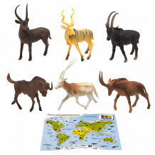 Купить zooграфия игровой набор домашние животные с картой обитания 6 шт. 200807044 200807044