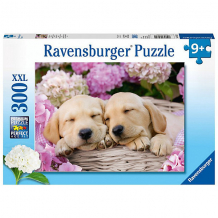 Купить пазл ravensburger "xxl: сладкие щенки в корзинке", 300 элементов ( id 7025852 )