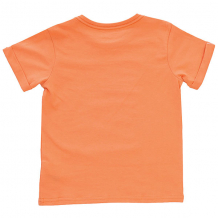 Купить футболка детская quiksilver fin fanatic boy cadmium orange оранжевый ( id 1194404 )