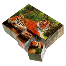 Купить развивающая игрушка умные игры набор из 12-и кубиков пленка экзотические животные 4680107999849