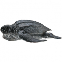 Купить кожистая черепаха (m), collecta ( id 5534519 )