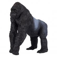 Купить konik горилла самец amw2001