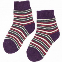 Купить носки hobby line, цвет: фиолетовый ( id 11610070 )