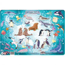 Купить пазл в рамке dodo "антарктида", 53 элемента ( id 11495120 )