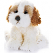 Купить мягкая игрушка maxilife собака кавашон 30 см mt-tsc0820193-30
