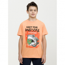 Купить pelican футболка для мальчика #стиль жизни добрый 267 bft
