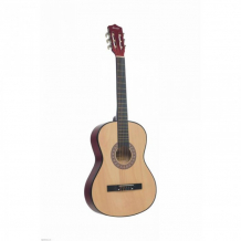 Купить музыкальный инструмент terris классическая гитара tc-3801a na 