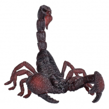 Купить konik императорский скорпион amw2061