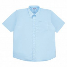 Купить рубашка rodeng, цвет: голубой ( id 10696553 )