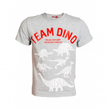 Купить m-bimbo футболка для мальчика команда динозаврики мв-19-43