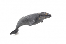 Купить konik серый кит ams3016
