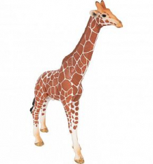 Купить schleich wild life жираф самец ( id 3806998 )