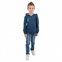 Купить толстовка leader kids лови волну, цвет: синий ( id 11315582 )