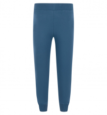 Купить брюки gt, цвет: синий ( id 6629449 )