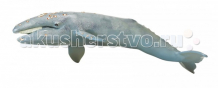 Купить safari ltd. серый кит xl 210402